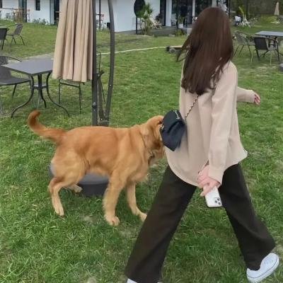 死人的复仇