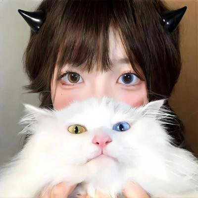孤鸟罗宾